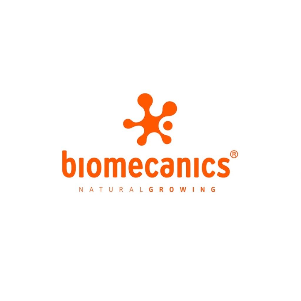 Biomecanics Kids Shoes